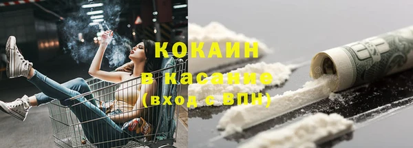 тгк Нея