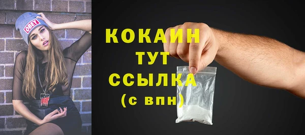 тгк Нея
