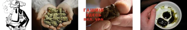 тгк Нея