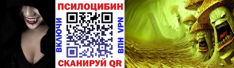 Псилоцибиновые грибы мицелий  Купить где  Химки 